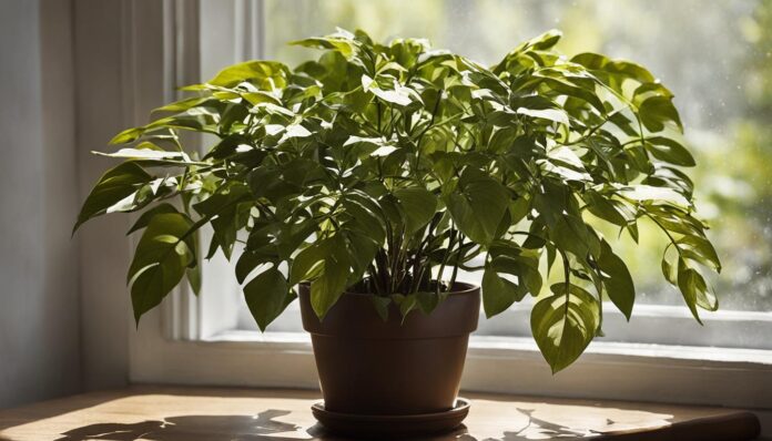 Say Goodbye to Brown Leaf Tips: Expert Tips for Healthy Plants