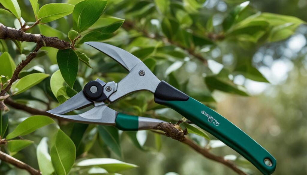 pruning strategies for lagerstroemia fauriei