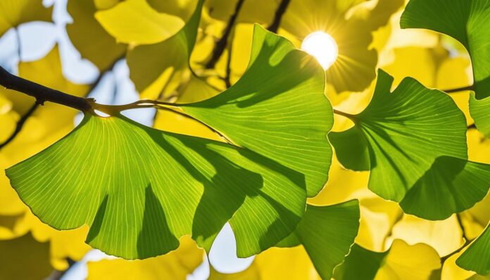 Ginkgo: A Curious History of an Ancient Tree